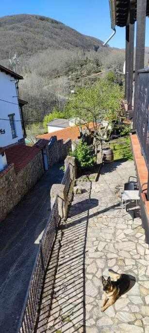 Hostal Montemayor Montemayor del Rio Εξωτερικό φωτογραφία